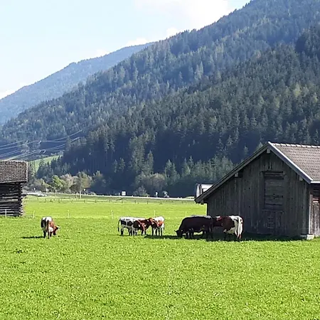 Stablerhof Apartment Hollersbach im Pinzgau